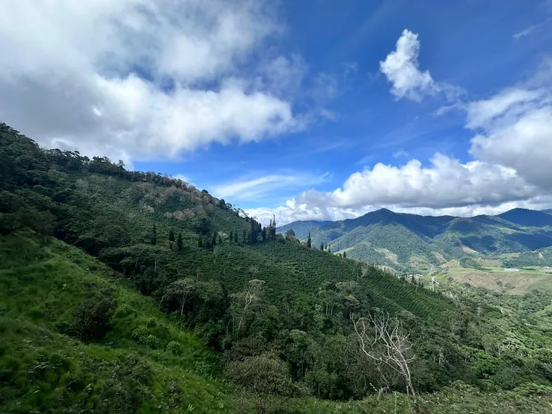 Paisaje panorámico de la Finca La Palma, el entorno natural y de gran altitud donde se cultiva el café Gesha Alegría.