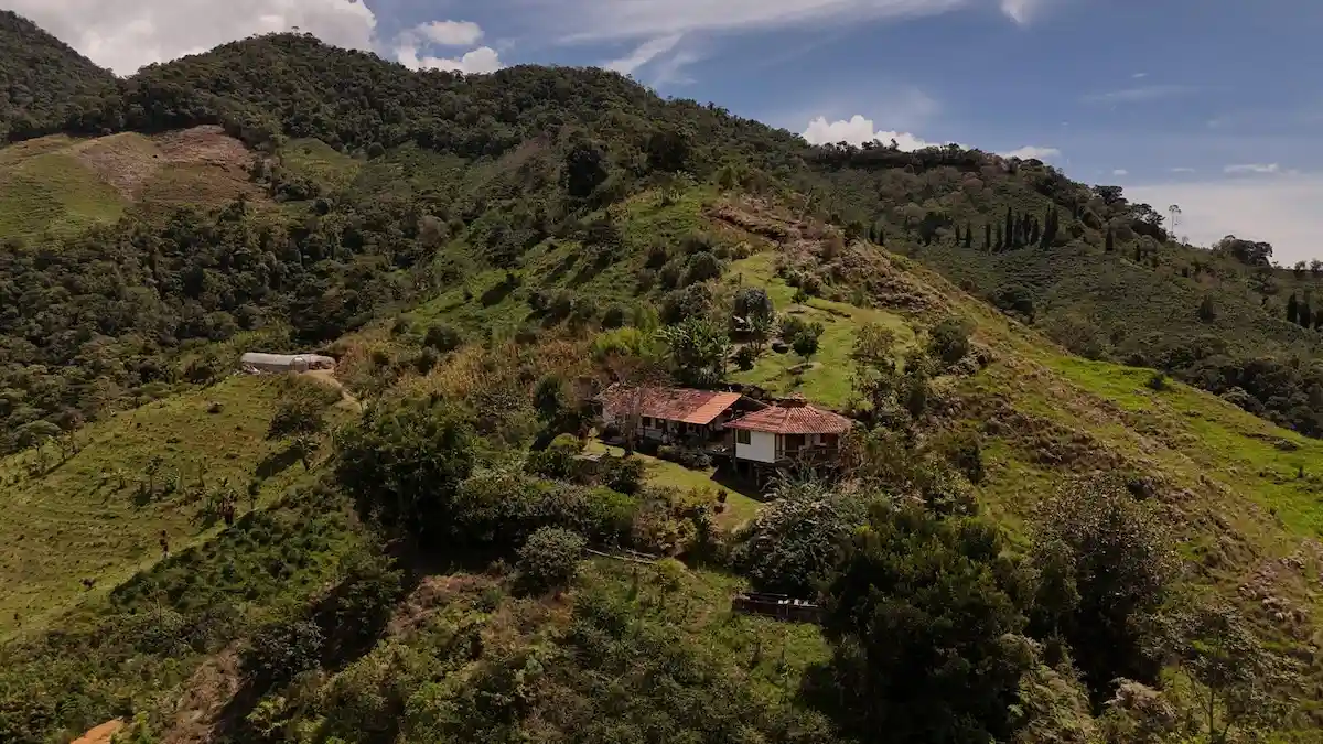 Vista aérea de la Finca La Palma, el entorno de alta montaña donde se cultiva el café Gesha Alegría de Café Lindo.
