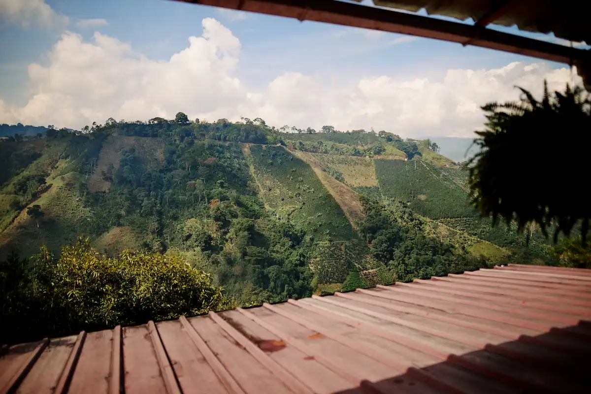 Paisaje cafetero en Huila, Colombia, origen del café Serenidad de Café Lindo