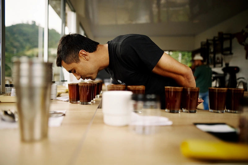 Sesión de cata de café de especialidad en Finca Nogales, evaluando perfiles aromáticos del café Serenidad